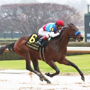 Kentucky Derby shock as leading fancy Arabian Knight is ruled out