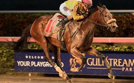 Claiming Crown attracts 294 nominations for Gulfstream Park’s Championship Meet opening day