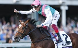 Breeders’ Cup Challenge focus: how the great Enable made history with ‘miracle’ win at Churchill Downs after the Arc