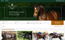 New website set to become the ‘go-to’ resource for jumps breeders