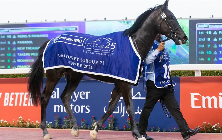 Spotlight on the globetrotting gladiator Rebel’s Romance