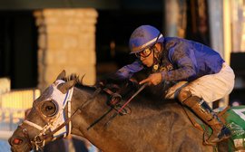 Kentucky Derby Prep School: Much to learn this weekend