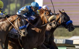 ‘They’ve started like Usain Bolt!’ JA McGrath on the meteoric rise of Wathnan Racing – on both sides of the Atlantic