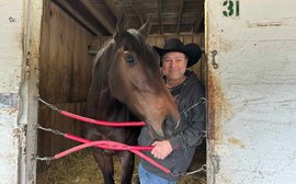 ‘We know she’s no million-dollar mare but for us she’s a superhorse’ – spotlight on Tennessee Moon, who won 13 races in 2024