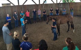 Discovering a real fast track to a career training racehorses