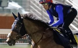 Dubai World Cup: ‘Country Grammer is all guts, he’s a proper horse’ – Frankie Dettori