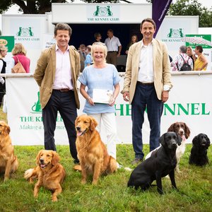 Top Dogs Weatherbys Move Into Canine Health With Launch Of Important Test For Multiple Genetic Disorders Thoroughbred Racing Commentary
