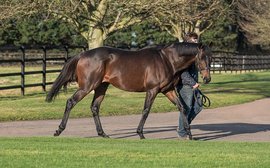 Time Test to shuttle to New Zealand’s Little Avondale Stud