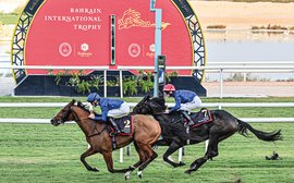 ‘He looks the worthy favourite’ – what the trainers say about their chances in Bahrain International Trophy