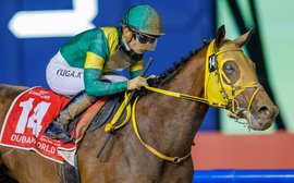What’s been happening: Ushba Tesoro aces Breeders’ Cup prep, latest Arc news, Cody’s Wish and more …