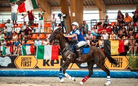 A life after racing: How a moderate racehorse turned into a total baller