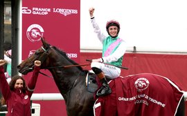 Arc winner Bluestocking is retired