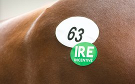 IRE Incentive scheme a major bonus for owners of Irish-breds