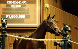 $1.6 Million half-brother to Classic-placed Midnight Bourbon headlines Day 2