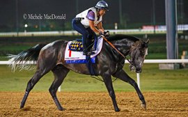 Figuring out Arrogate: how a ‘big kid’ became world champion