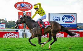 Top South African sprinter to join Graham Motion for Breeders’ Cup bid