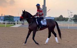 Hot Rod Charlie set for Dubai debut in Friday's Maktoum Challenge