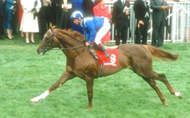 The best ten racehorses owned by Hamdan Al Maktoum