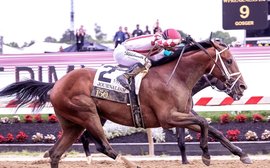 What’s been happening: Journalism and Belmont Stakes, Junior Alvarado appeal, Royal Ascot latest, shock cocaine positive and more …