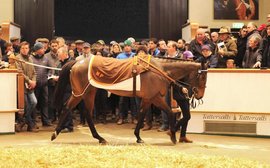 What a year! The ‘perfect storm’ that shattered record after record at Tattersalls