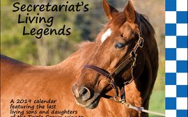 2019 calendar celebrates Secretariat’s last living sons and daughters