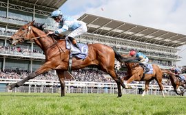 Epsom Derby horse-by-horse guide: why everything points to Pride Of Arras