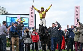 How to bet the Cheltenham Festival: Galopin Des Champs cannot be opposed – but let’s take on Constitution Hill