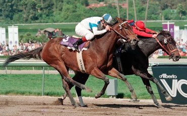 Hollywood Wildcat: ‘She made my job easy’ – Eddie Delahoussaye
