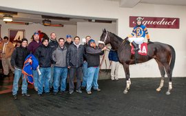 ‘He has his forever home’ – beloved stakes veteran Digger enjoys retired life in Tennessee