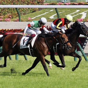 www.thoroughbredracing.com