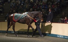 Ireland’s most expensive mares: have they been worth it?