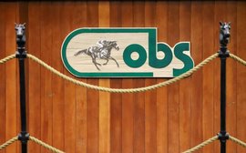Sale Preview: OBS Spring Two-Year-Olds in Training Sale