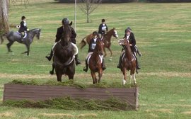 New graduate award to be offered at Thoroughbred Makeover