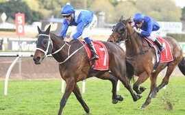 How you can watch live as Winx bids to make history this weekend