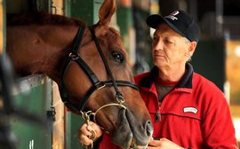 Peter Snowden: You’d think Winx was in trouble – but she never ever was