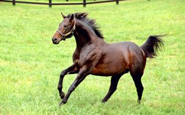 Bernardini’s legacy may still be in the making