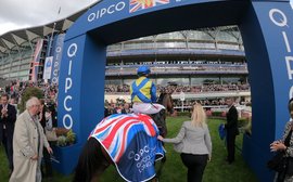 ‘He really was a remarkable racehorse’ – the emotional story of fan favourite Trueshan
