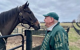 ‘You have to do what’s right for the horse’ – at home with Silver Charm, Lava Man and their pals at Old Friends