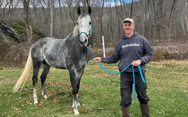Stakes winner Montauk Traffic enjoys second career as therapy horse