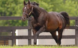 What’s been happening in the racing industry around the world