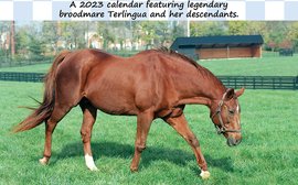 Secretariat charity calendar for 2023 celebrates his daughter Terlingua, dam of Storm Cat