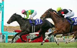 Boost for Pegasus World Cup prospects of Argentinian import Eragon