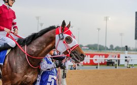 Breeders’ Cup: High-profile Classic trio set to front formidable Japanese squad