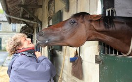 Why this is one of horse racing’s greatest love stories