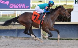 Road to the Kentucky Derby: Will Greatest Honour make Gulfstream history? 