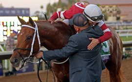 ‘Rock star’ Gun Runner’s career set to come full circle in the Pegasus