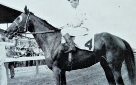 How many horses could have achieved what this filly did on such an arduous campaign?