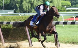 A poor breeze and an unhappy trainer, yet Exaggerator stuns them all in the Haskell
