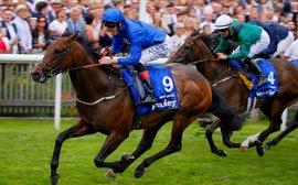 When was the last time Godolphin had such a successful year as this?