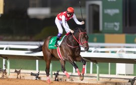 Kentucky Derby possible Full Flat makes it another day to remember for Japan